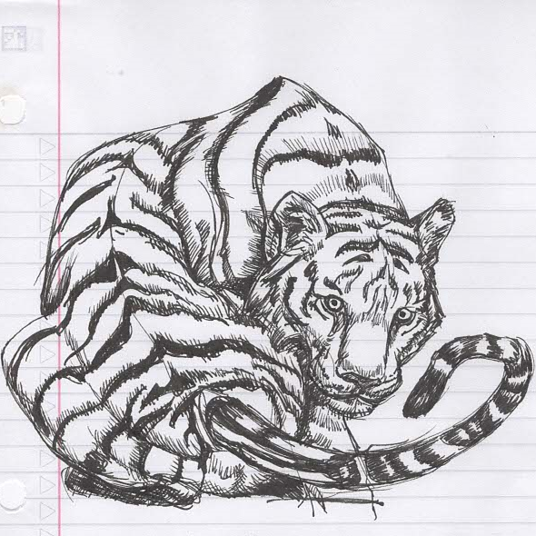 Tiger Sketch1