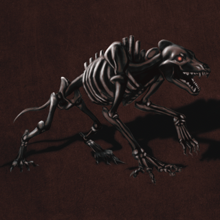 Card Illustrations