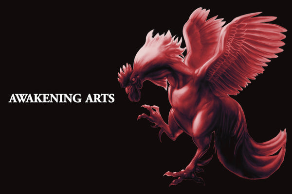 Awakening Arts Collectible Card Game (Digital Download)